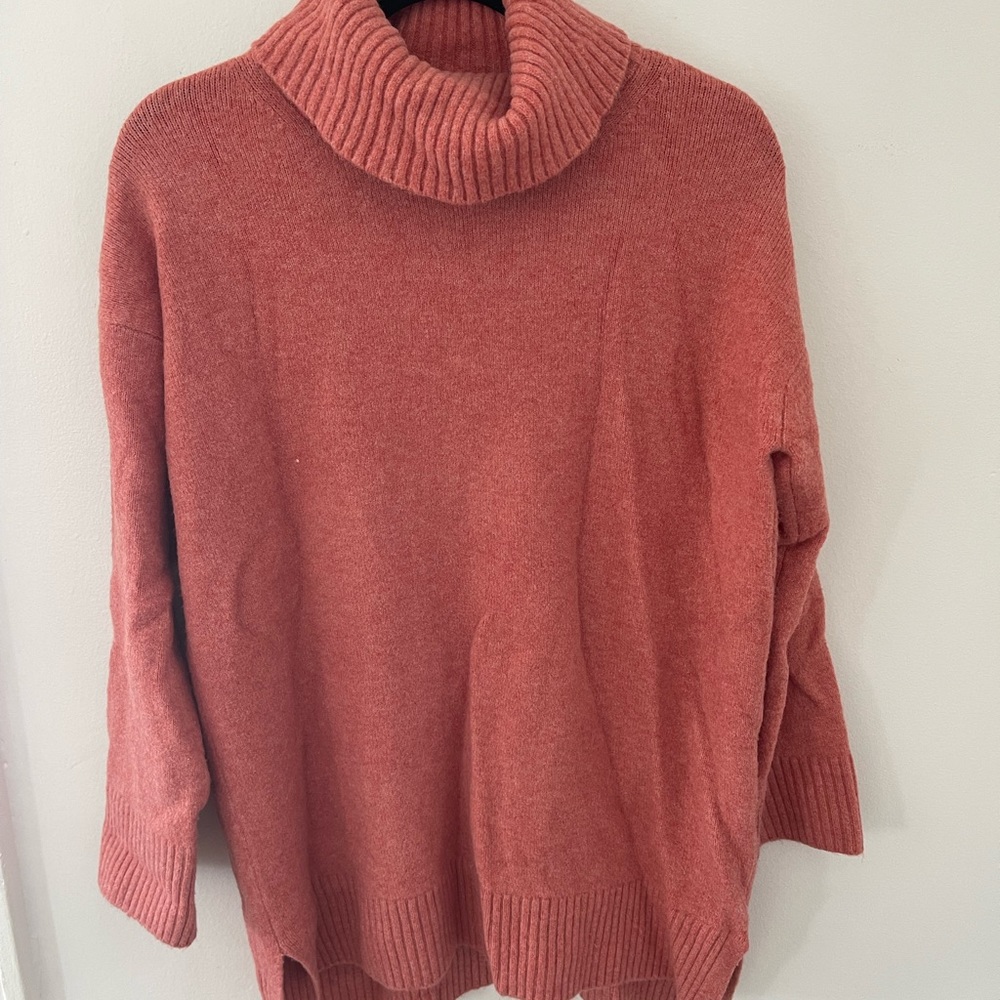 Uniqlo Turtleneck Sweater